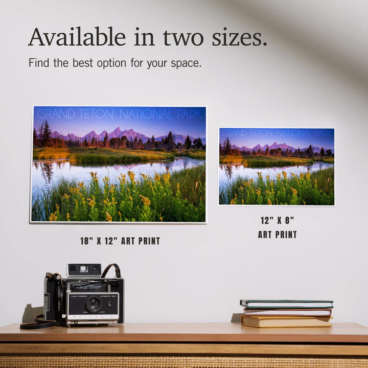 Grand Teton National Park, Wyoming, Flower Foreground, Art & Giclee Prints - Lantern Press
