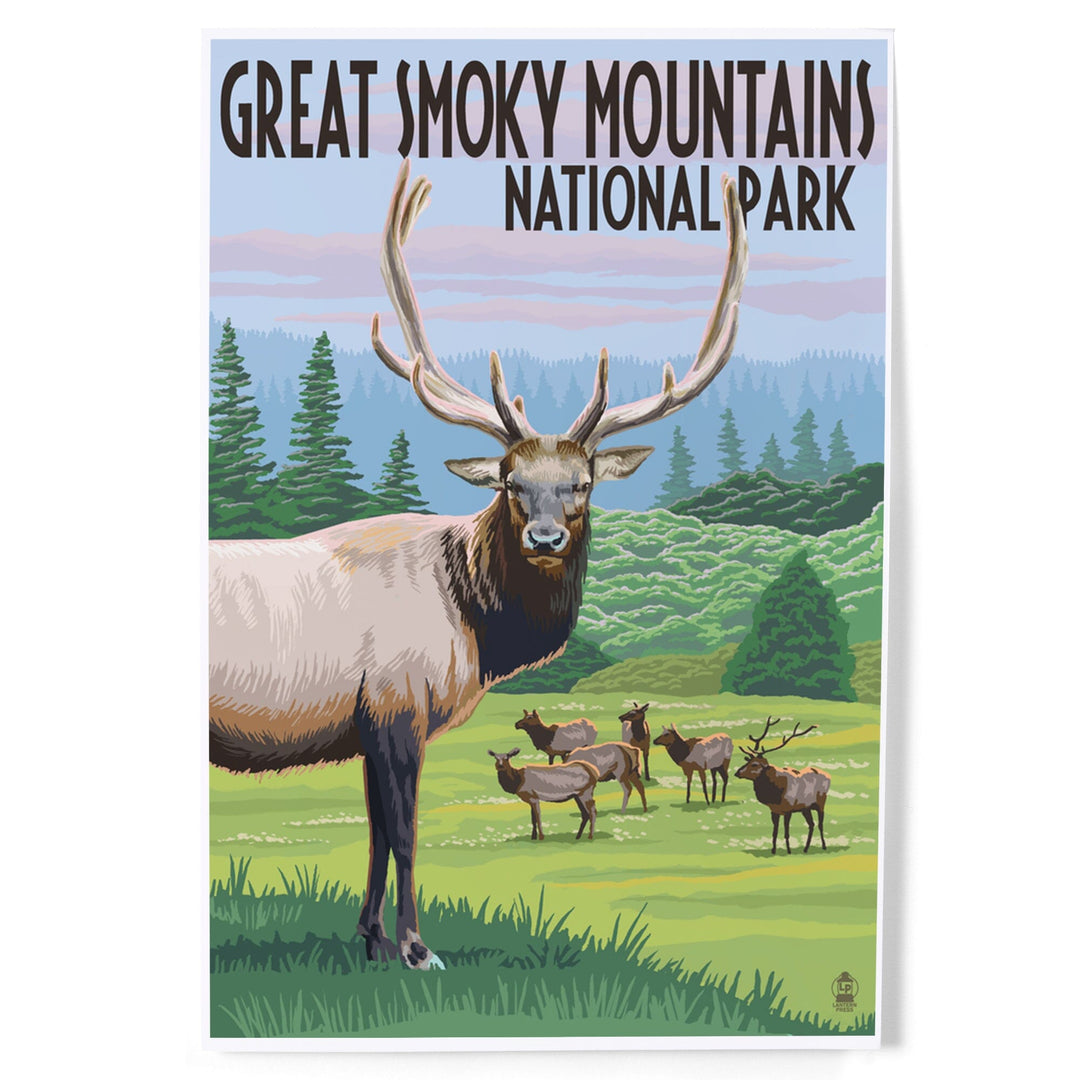 Great Smoky Mountains National Park, Elk Herd, Art & Giclee Prints - Lantern Press