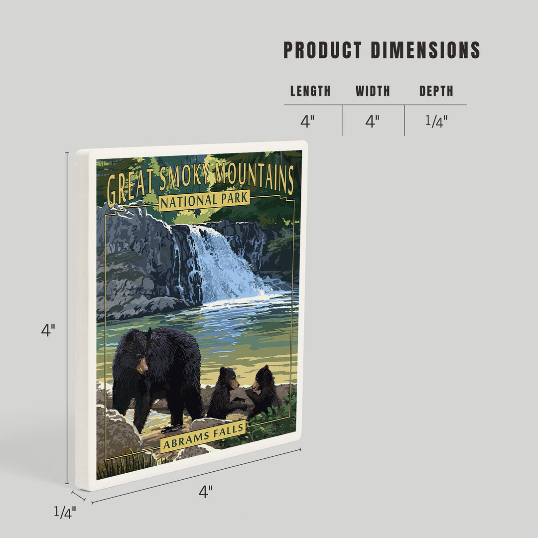 Great Smoky Mountains National Park, Tennessee, Abrams Falls, Coasters Coasters Lantern Press