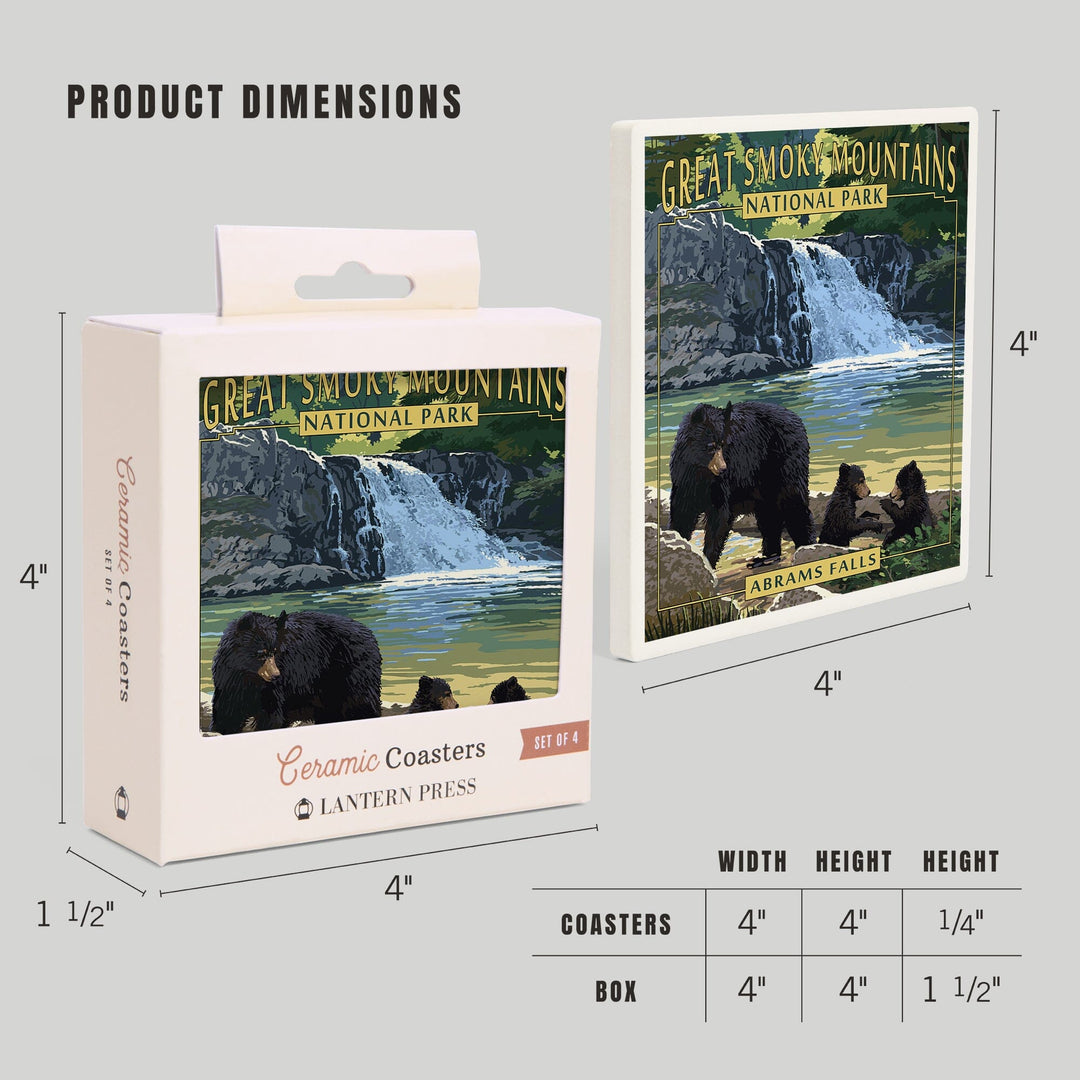 Great Smoky Mountains National Park, Tennessee, Abrams Falls, Coasters Coasters Lantern Press