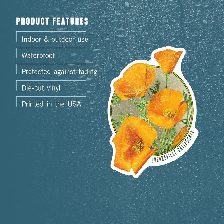 Guerneville, California, Poppy Flowers, Contour, Vinyl Sticker Sticker Lantern Press