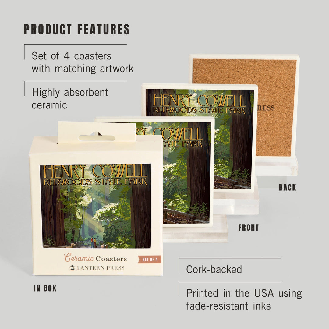Henry Cowell Redwoods State Park, California, Pathway in Trees, Coasters Coasters Lantern Press