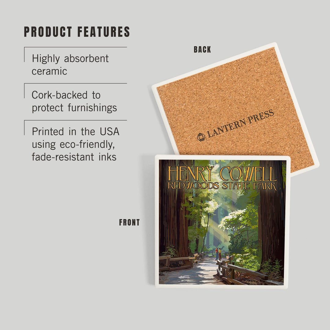 Henry Cowell Redwoods State Park, California, Pathway in Trees, Coasters Coasters Lantern Press