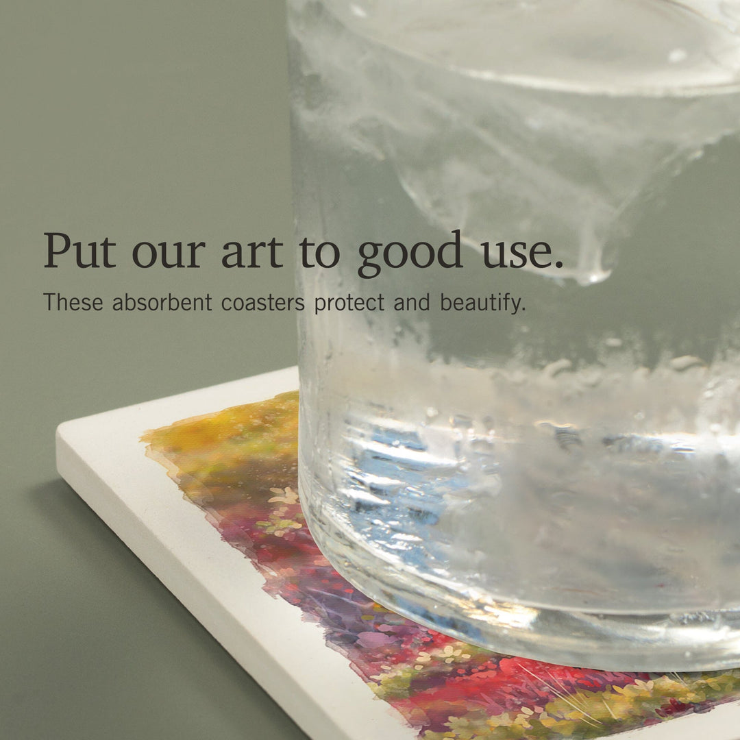 Idaho, Watercolor Study, Gray Wolf, Coasters Coasters Lantern Press