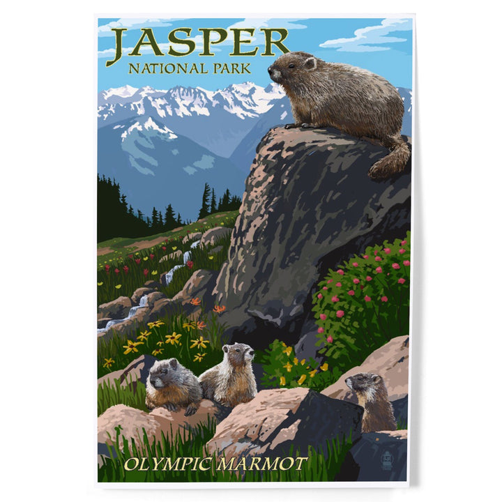 Jasper National Park, Canada, Olympic Marmots, Art & Giclee Prints - Lantern Press