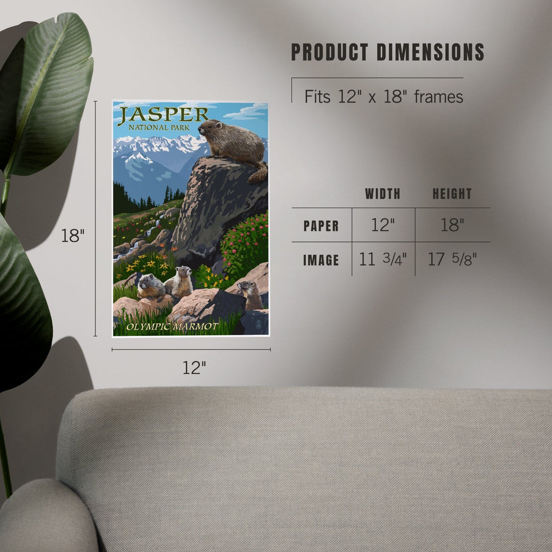 Jasper National Park, Canada, Olympic Marmots, Art & Giclee Prints - Lantern Press