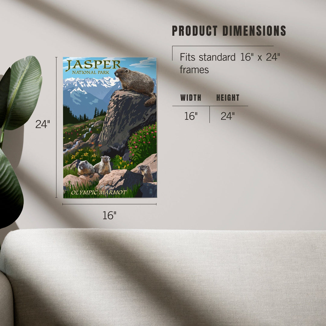 Jasper National Park, Canada, Olympic Marmots, Art & Giclee Prints - Lantern Press