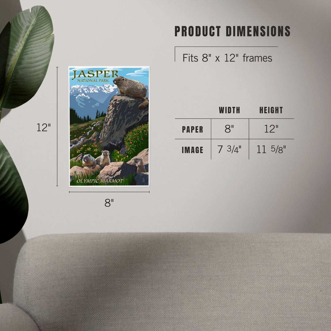 Jasper National Park, Canada, Olympic Marmots, Art & Giclee Prints - Lantern Press