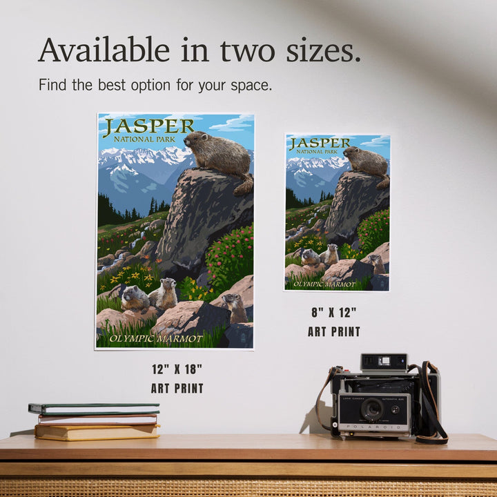 Jasper National Park, Canada, Olympic Marmots, Art & Giclee Prints - Lantern Press