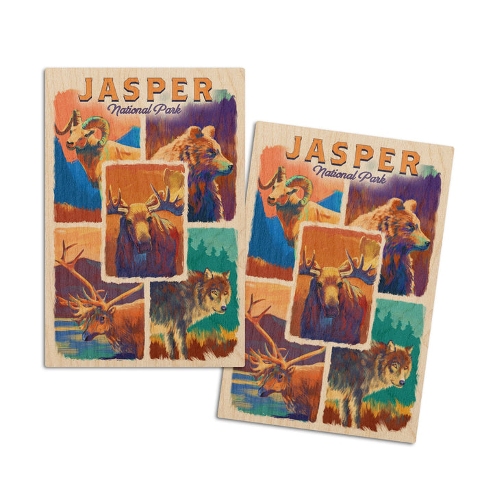 Jasper National Park, Canada, Vivid Animals, Lantern Press Artwork, Wood Signs and Postcards - Lantern Press