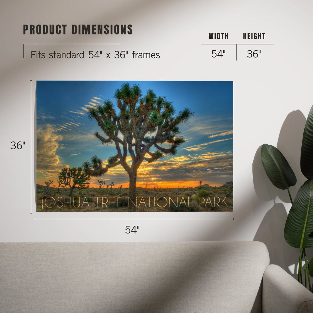 Joshua Tree National Park, California, Tree in Center, Art & Giclee Prints - Lantern Press