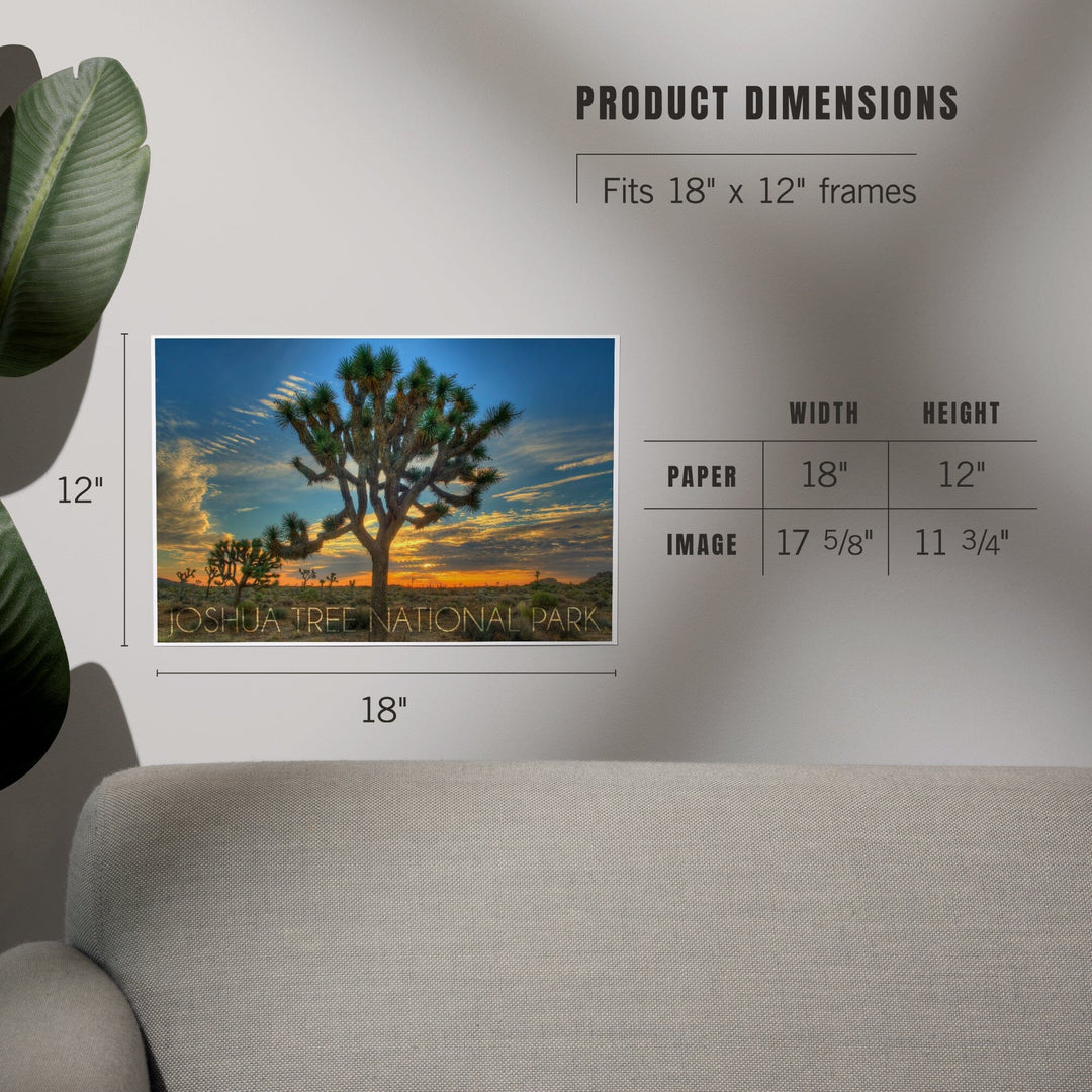 Joshua Tree National Park, California, Tree in Center, Art & Giclee Prints - Lantern Press