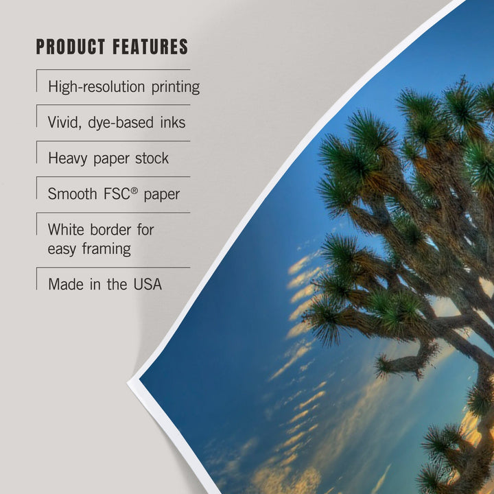 Joshua Tree National Park, California, Tree in Center, Art & Giclee Prints - Lantern Press