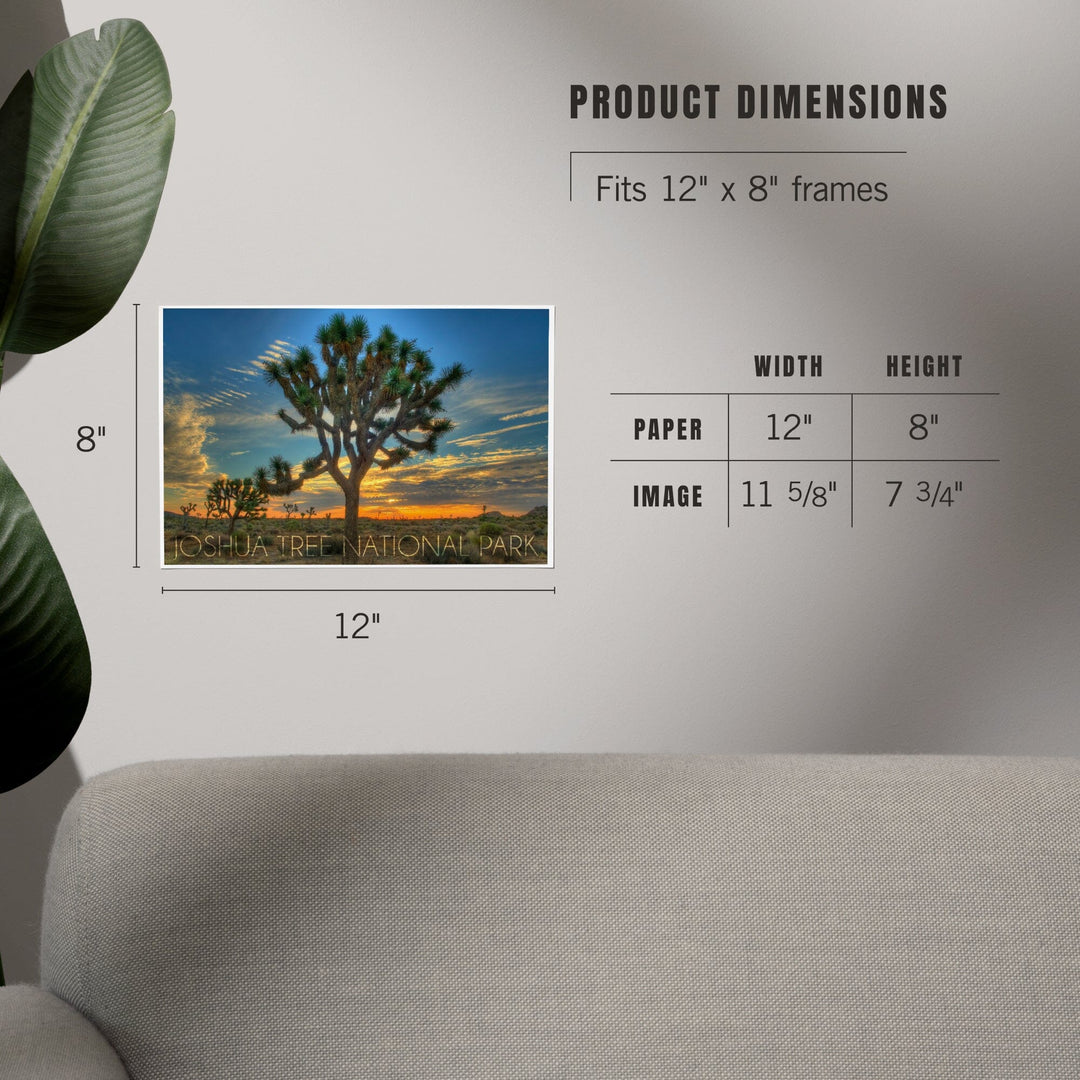 Joshua Tree National Park, California, Tree in Center, Art & Giclee Prints - Lantern Press