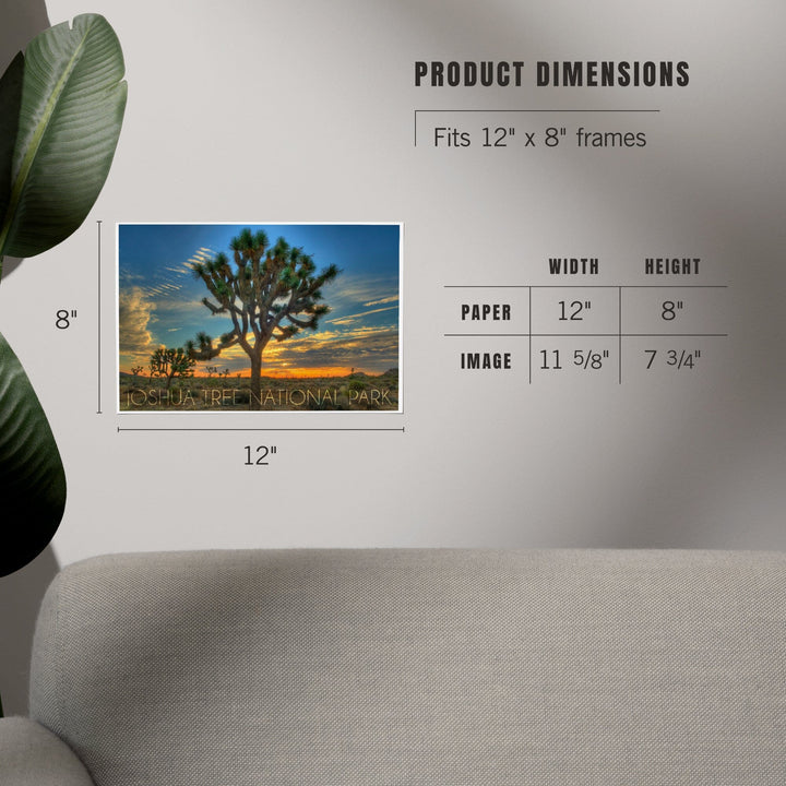Joshua Tree National Park, California, Tree in Center, Art & Giclee Prints - Lantern Press