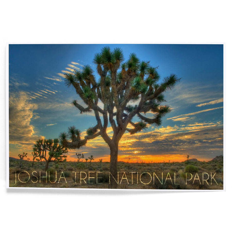 Joshua Tree National Park, California, Tree in Center, Art & Giclee Prints - Lantern Press