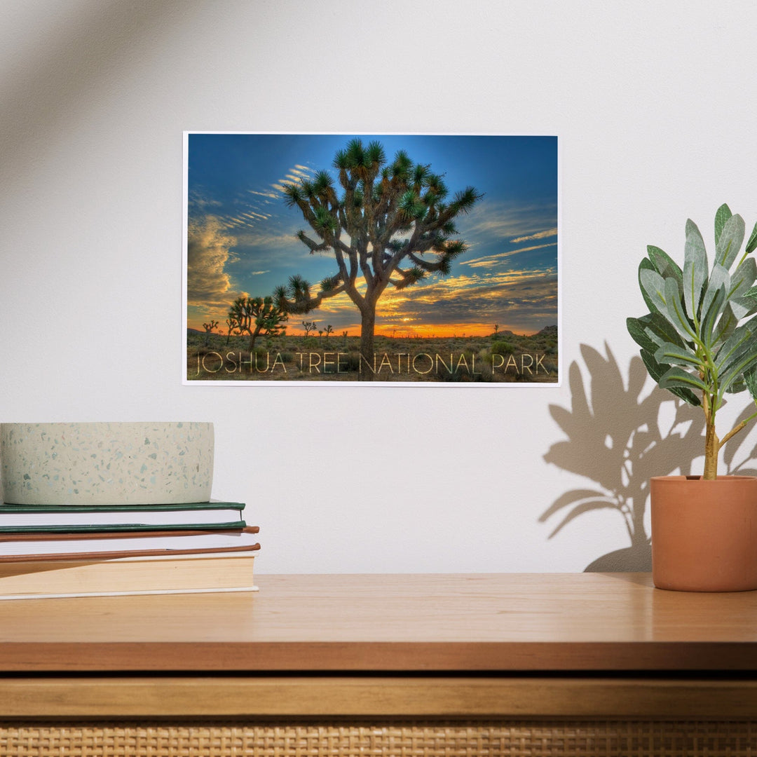 Joshua Tree National Park, California, Tree in Center, Art & Giclee Prints - Lantern Press
