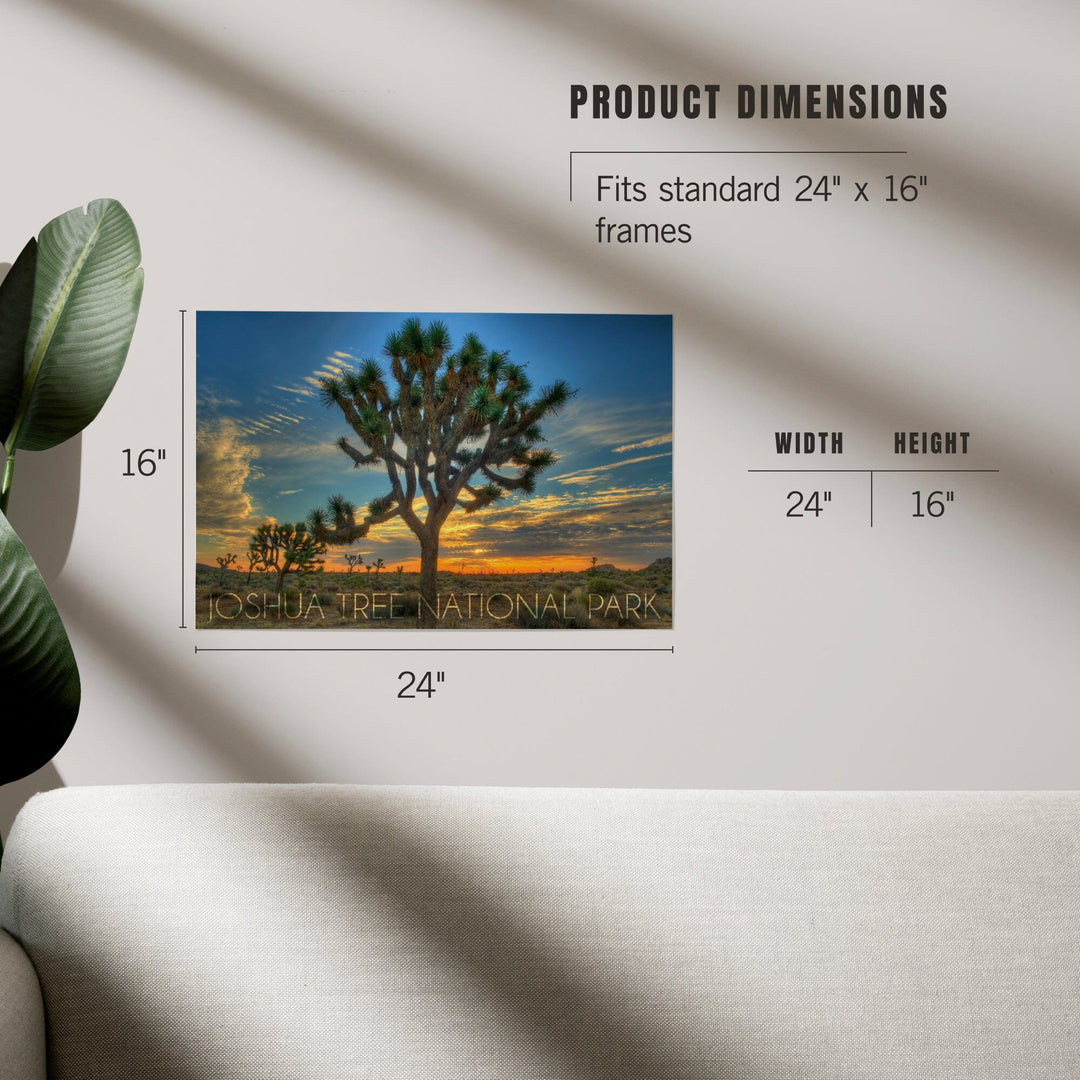 Joshua Tree National Park, California, Tree in Center, Art & Giclee Prints - Lantern Press