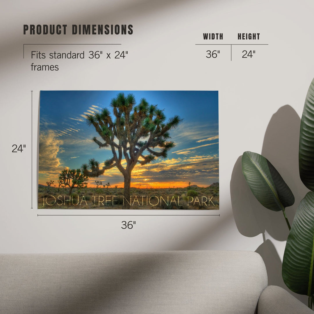 Joshua Tree National Park, California, Tree in Center, Art & Giclee Prints - Lantern Press