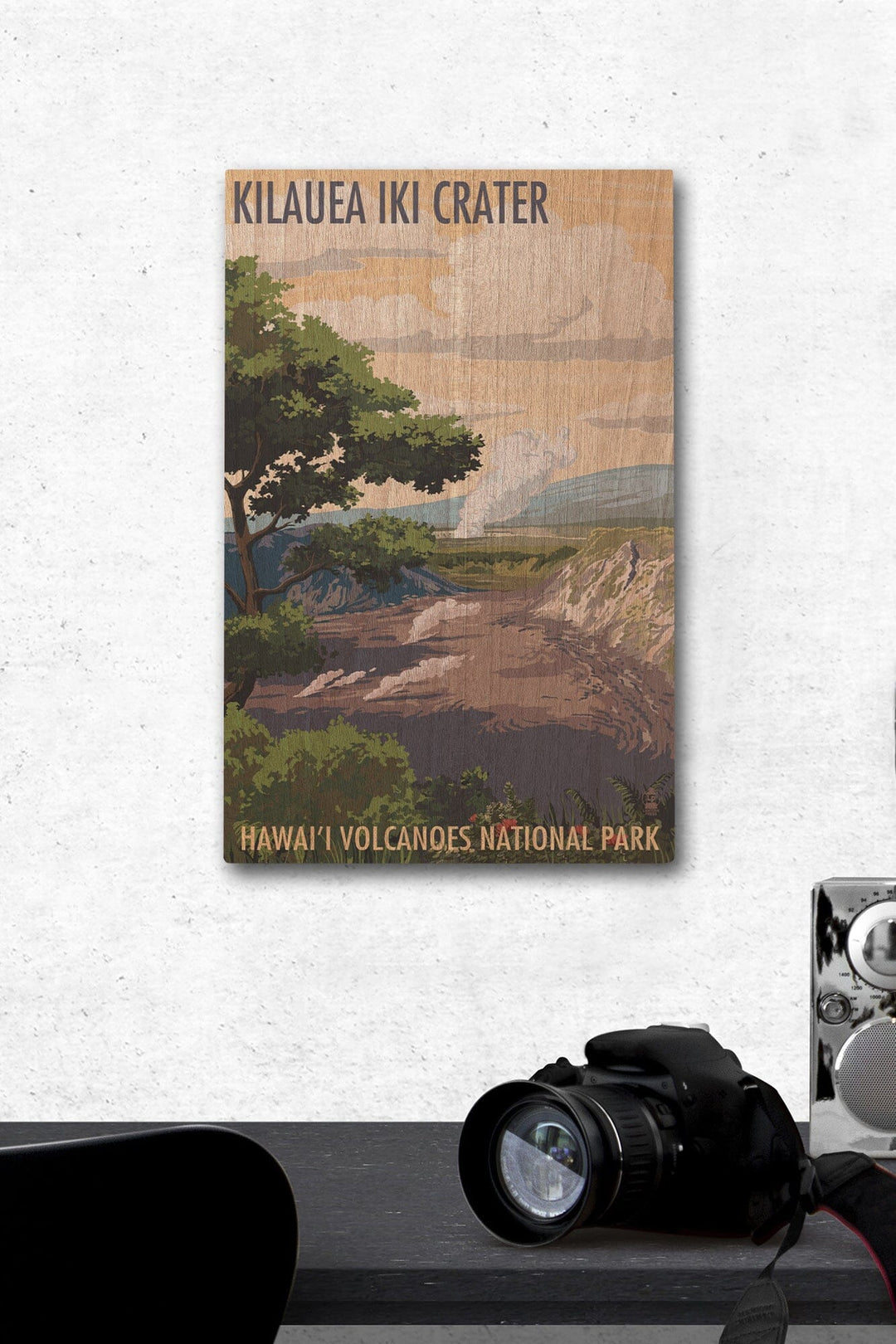Kilauea Iki Crater, Hawaii Volcanoes National Park, Lantern Press Artwork, Wood Signs and Postcards - Lantern Press