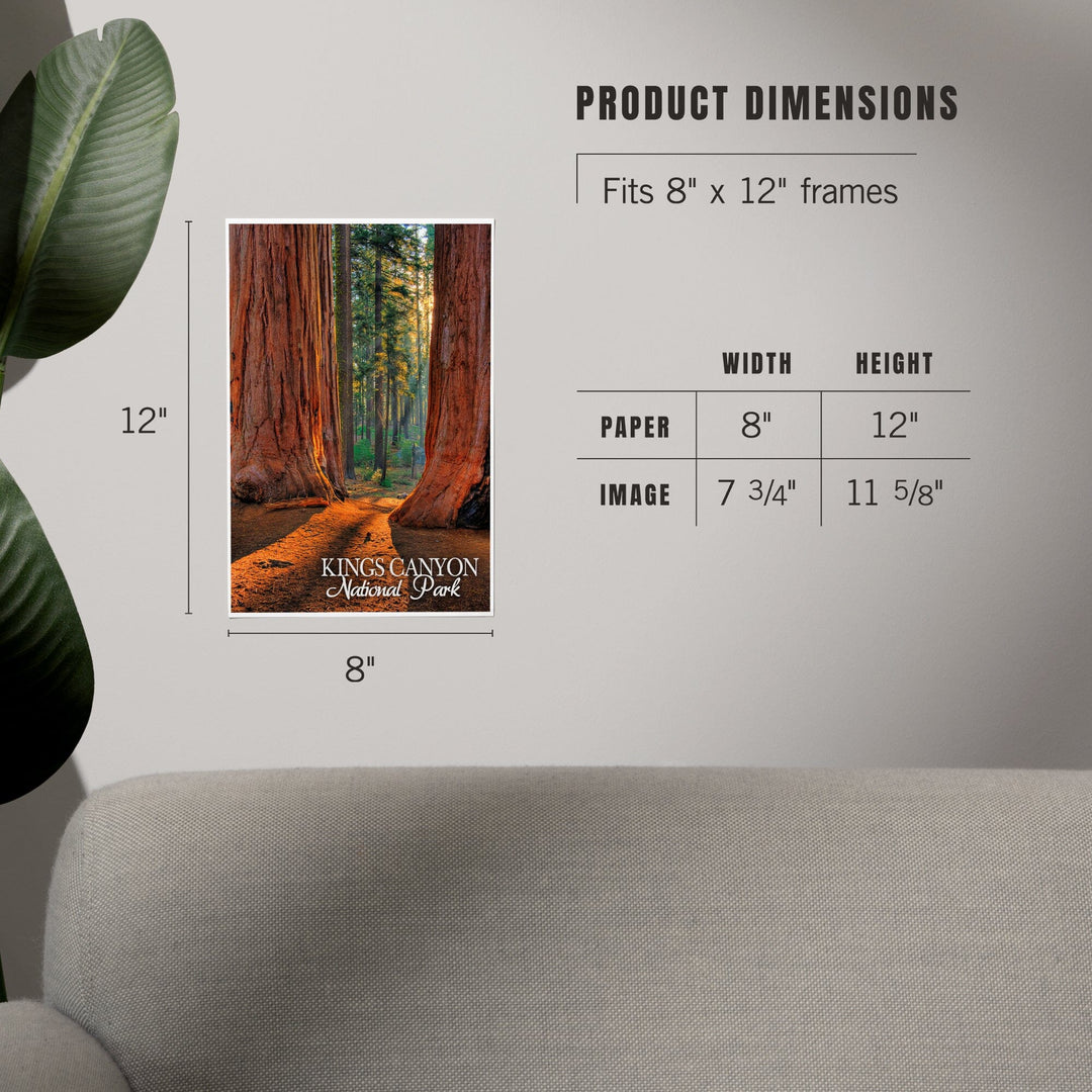 Kings Canyon National Park, California, Grants Grove, Art & Giclee Prints - Lantern Press