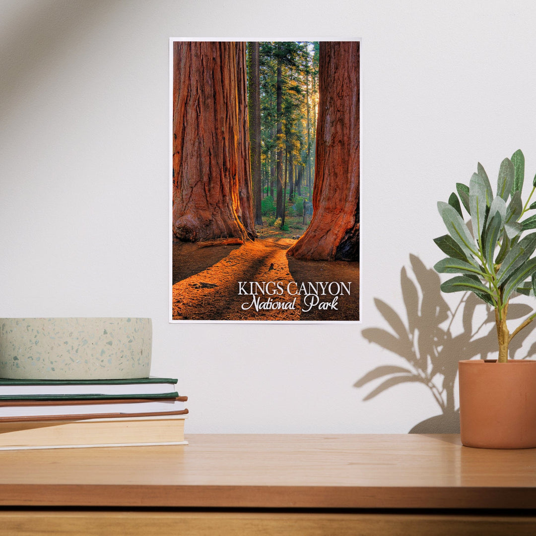 Kings Canyon National Park, California, Grants Grove, Art & Giclee Prints - Lantern Press