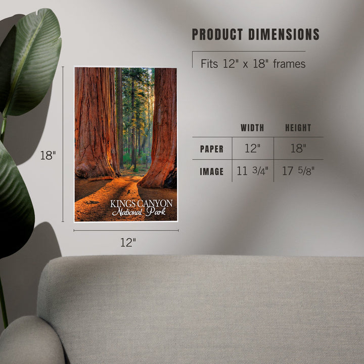 Kings Canyon National Park, California, Grants Grove, Art & Giclee Prints - Lantern Press