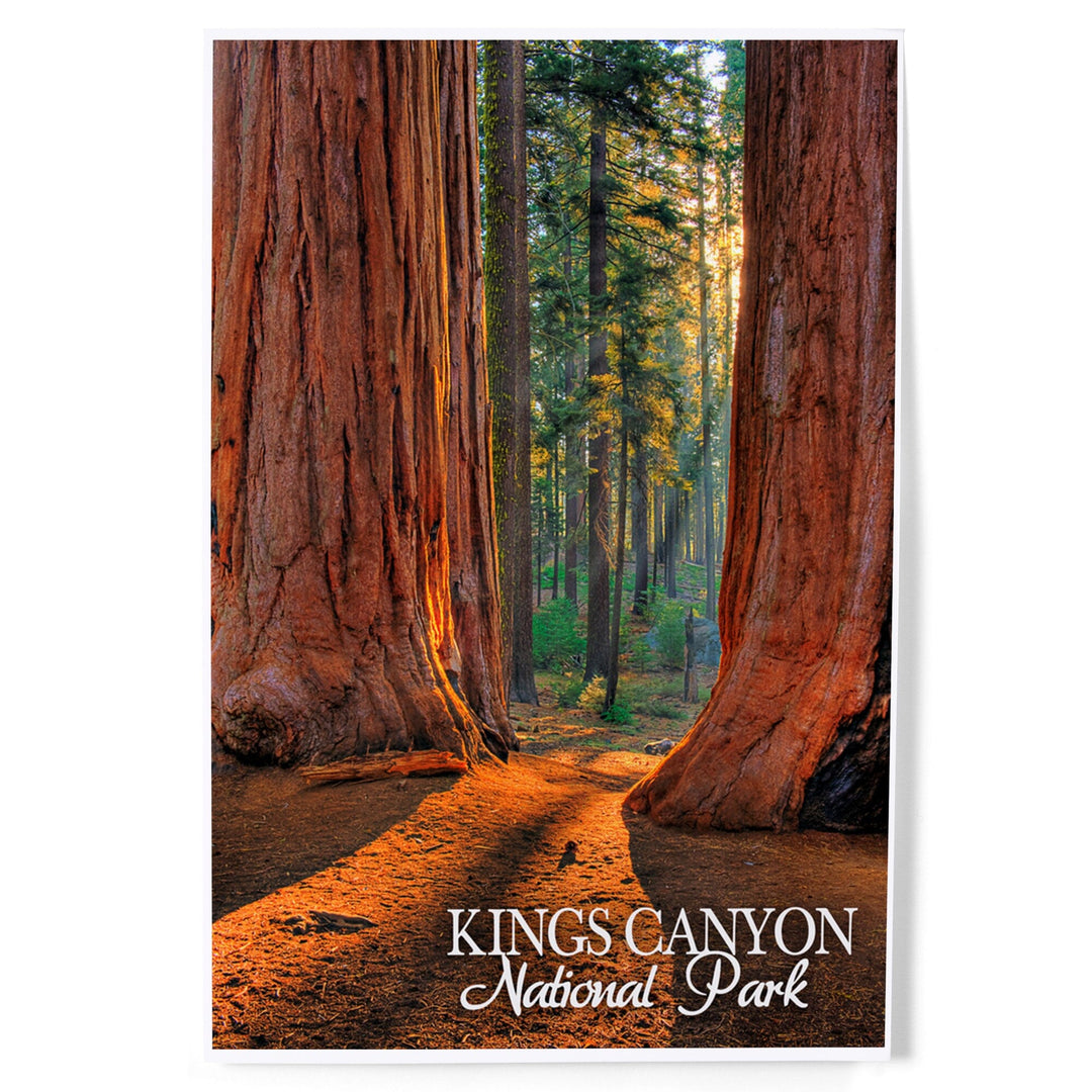 Kings Canyon National Park, California, Grants Grove, Art & Giclee Prints - Lantern Press