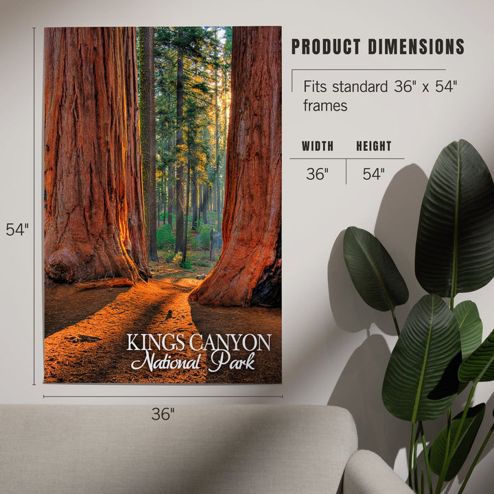 Kings Canyon National Park, California, Grants Grove, Art & Giclee Prints - Lantern Press