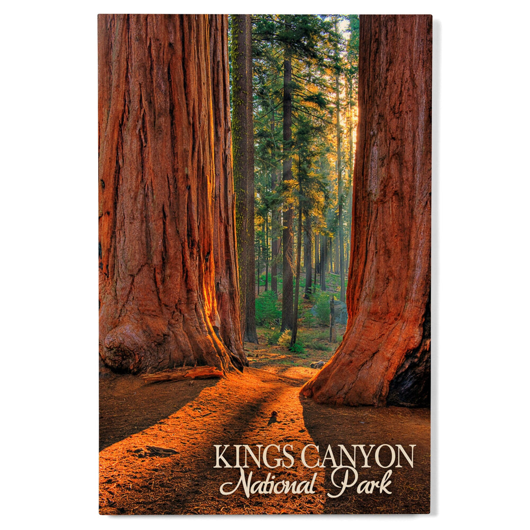 Kings Canyon National Park, California, Grants Grove, Lantern Press Photography, Wood Signs and Postcards - Lantern Press