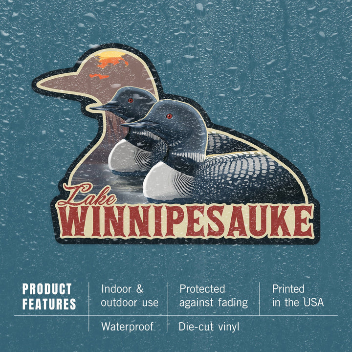 Lake Winnipesaukee, New Hampshire, Loons, Contour, Lantern Press Artwork, Vinyl Sticker - Lantern Press