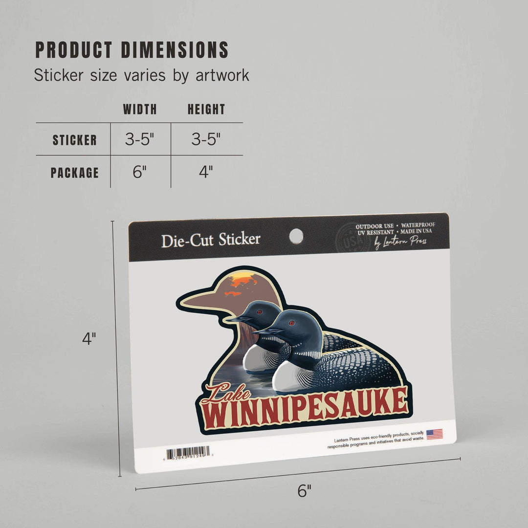 Lake Winnipesaukee, New Hampshire, Loons, Contour, Lantern Press Artwork, Vinyl Sticker - Lantern Press