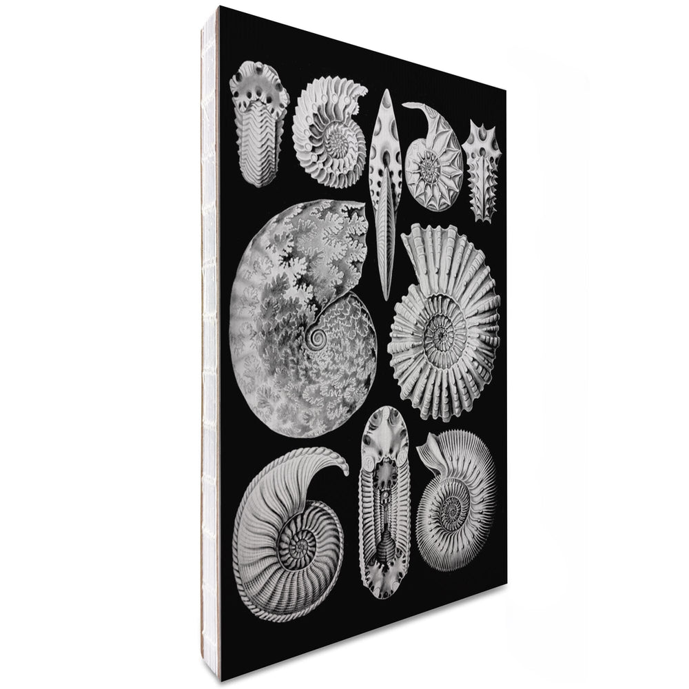 Lined 6x9 Journal, Art Forms of Nature, Ammonitida (Marine Molluscs), Ernst Haeckel Artwork, Lay Flat, 193 Pages, FSC paper Home Lantern Press