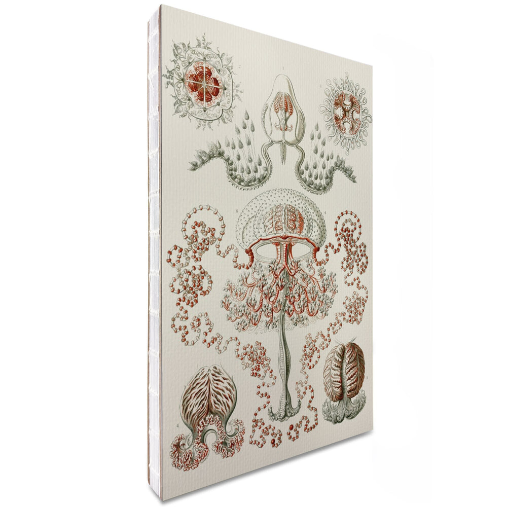 Lined 6x9 Journal, Art Forms of Nature, Anthomedusae (Marine Invertebrates), Ernst Haeckel Artwork, Lay Flat, 193 Pages, FSC paper Home Lantern Press