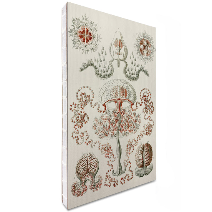 Lined 6x9 Journal, Art Forms of Nature, Anthomedusae (Marine Invertebrates), Ernst Haeckel Artwork, Lay Flat, 193 Pages, FSC paper Home Lantern Press
