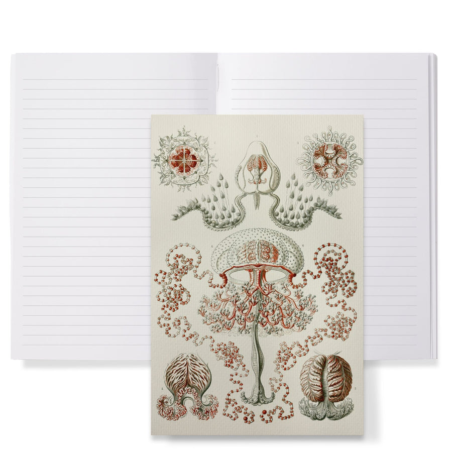 Lined 6x9 Journal, Art Forms of Nature, Anthomedusae (Marine Invertebrates), Ernst Haeckel Artwork, Lay Flat, 193 Pages, FSC paper Home Lantern Press