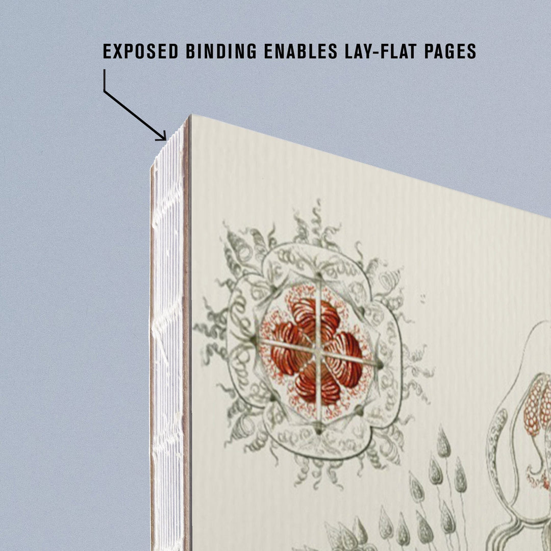 Lined 6x9 Journal, Art Forms of Nature, Anthomedusae (Marine Invertebrates), Ernst Haeckel Artwork, Lay Flat, 193 Pages, FSC paper Home Lantern Press