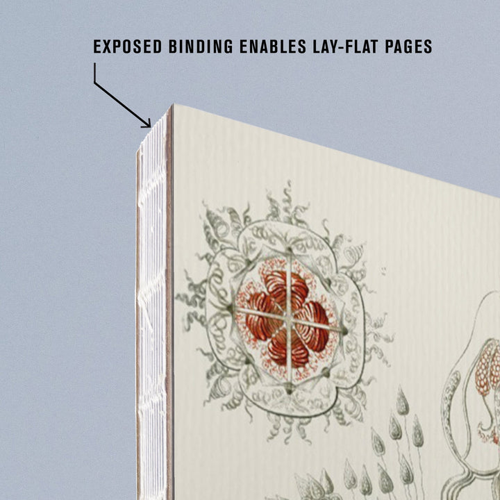 Lined 6x9 Journal, Art Forms of Nature, Anthomedusae (Marine Invertebrates), Ernst Haeckel Artwork, Lay Flat, 193 Pages, FSC paper Home Lantern Press