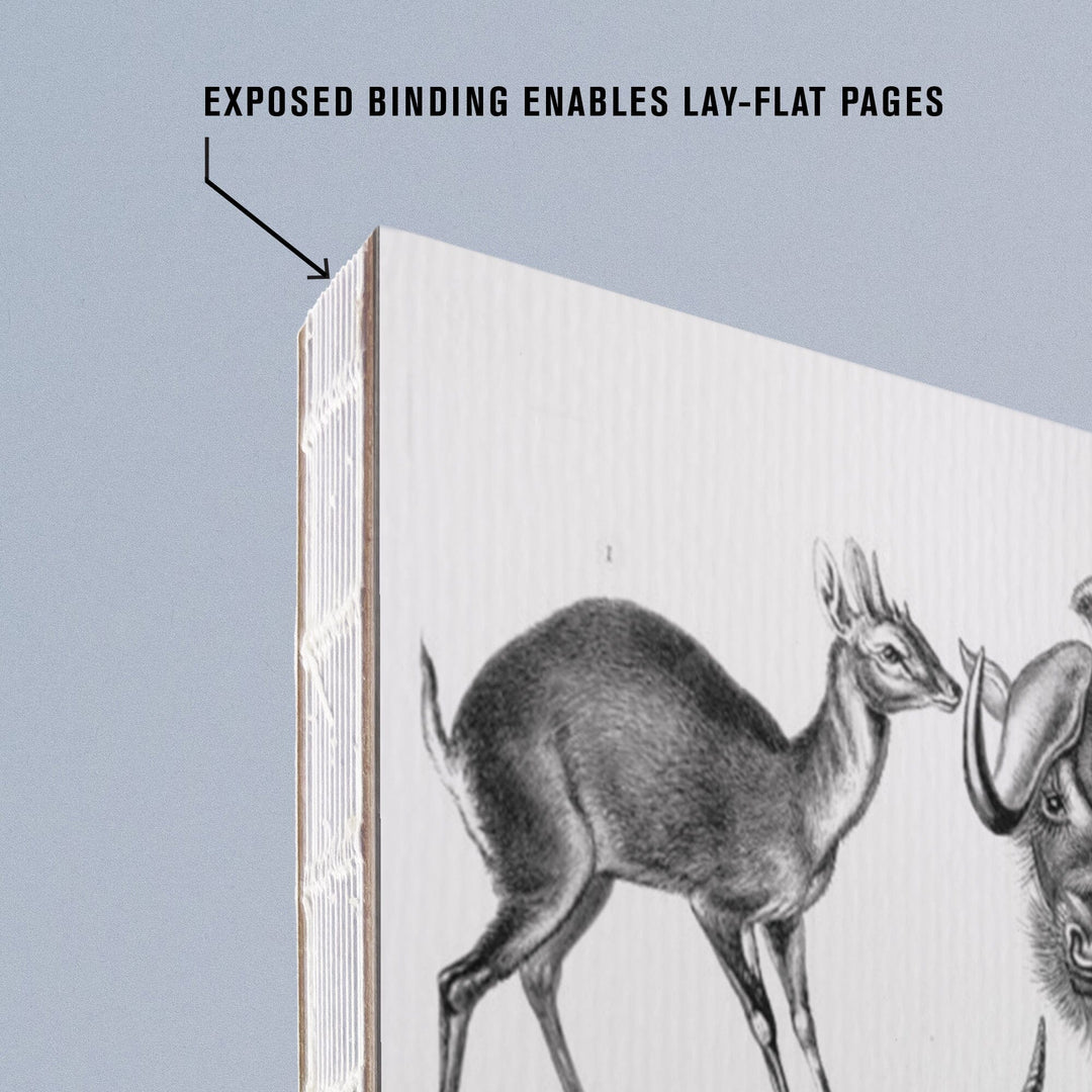 Lined 6x9 Journal, Art Forms of Nature, Antilopina (Antelopes), Ernst Haeckel Artwork, Lay Flat, 193 Pages, FSC paper Home Lantern Press