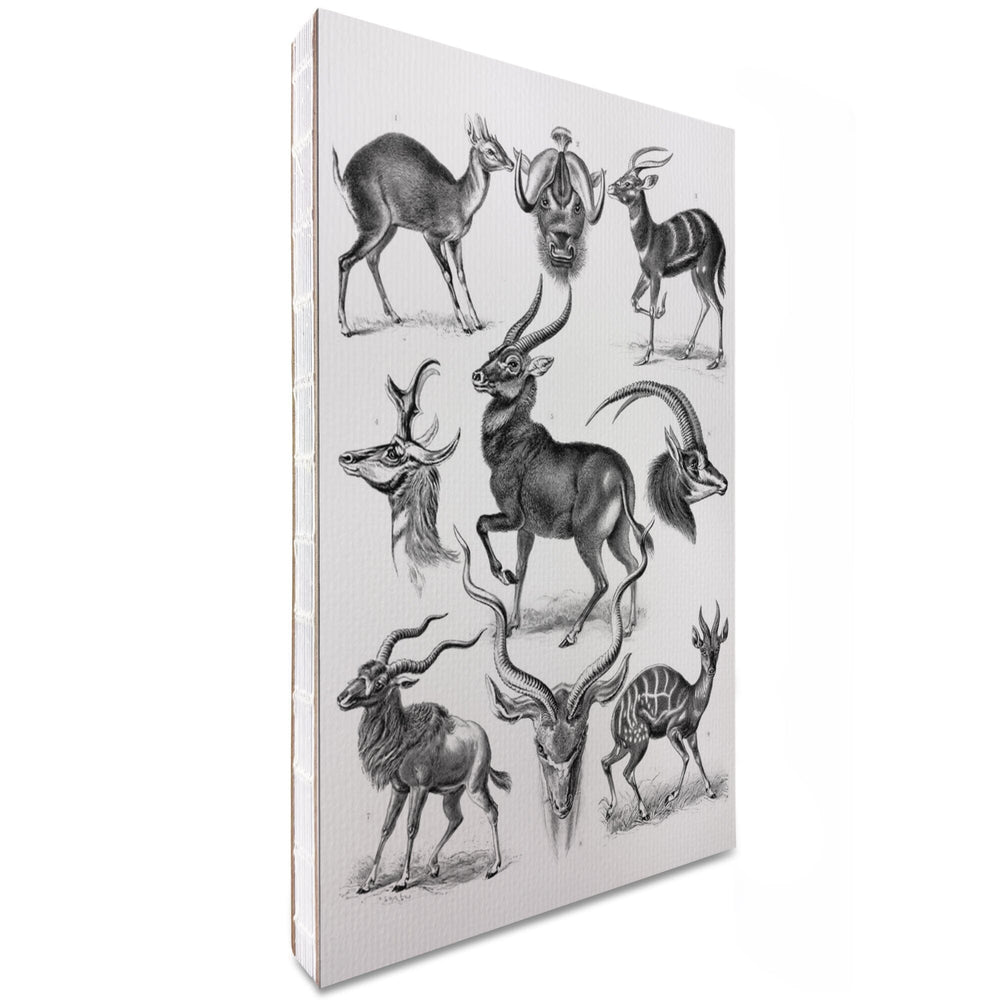 Lined 6x9 Journal, Art Forms of Nature, Antilopina (Antelopes), Ernst Haeckel Artwork, Lay Flat, 193 Pages, FSC paper Home Lantern Press