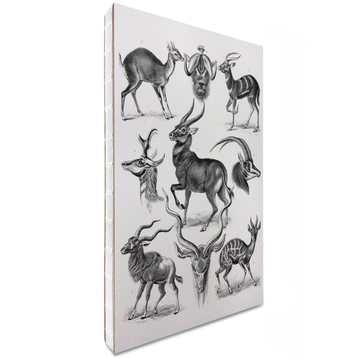 Lined 6x9 Journal, Art Forms of Nature, Antilopina (Antelopes), Ernst Haeckel Artwork, Lay Flat, 193 Pages, FSC paper Home Lantern Press