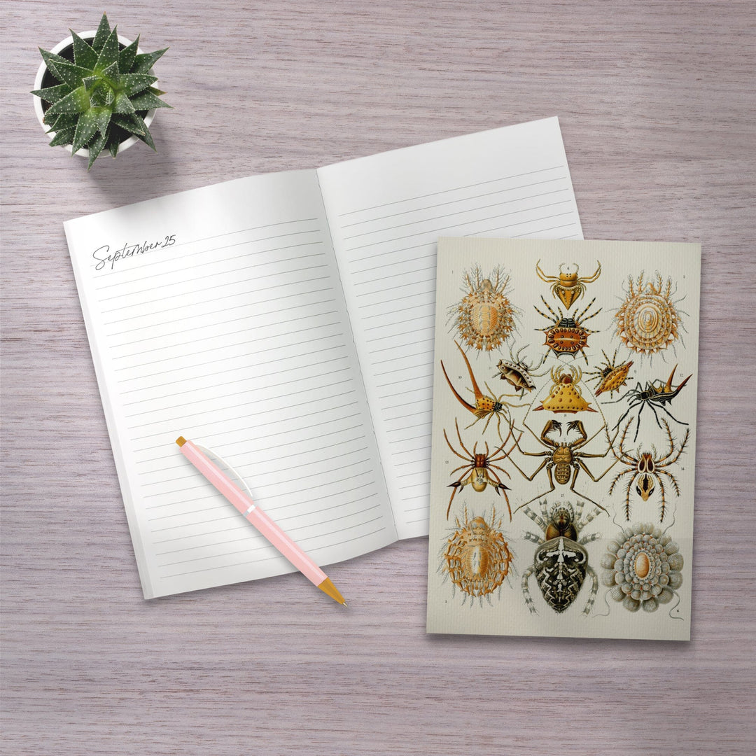Lined 6x9 Journal, Art Forms of Nature, Arachnida (Spiders), Ernst Haeckel Artwork, Lay Flat, 193 Pages, FSC paper Home Lantern Press
