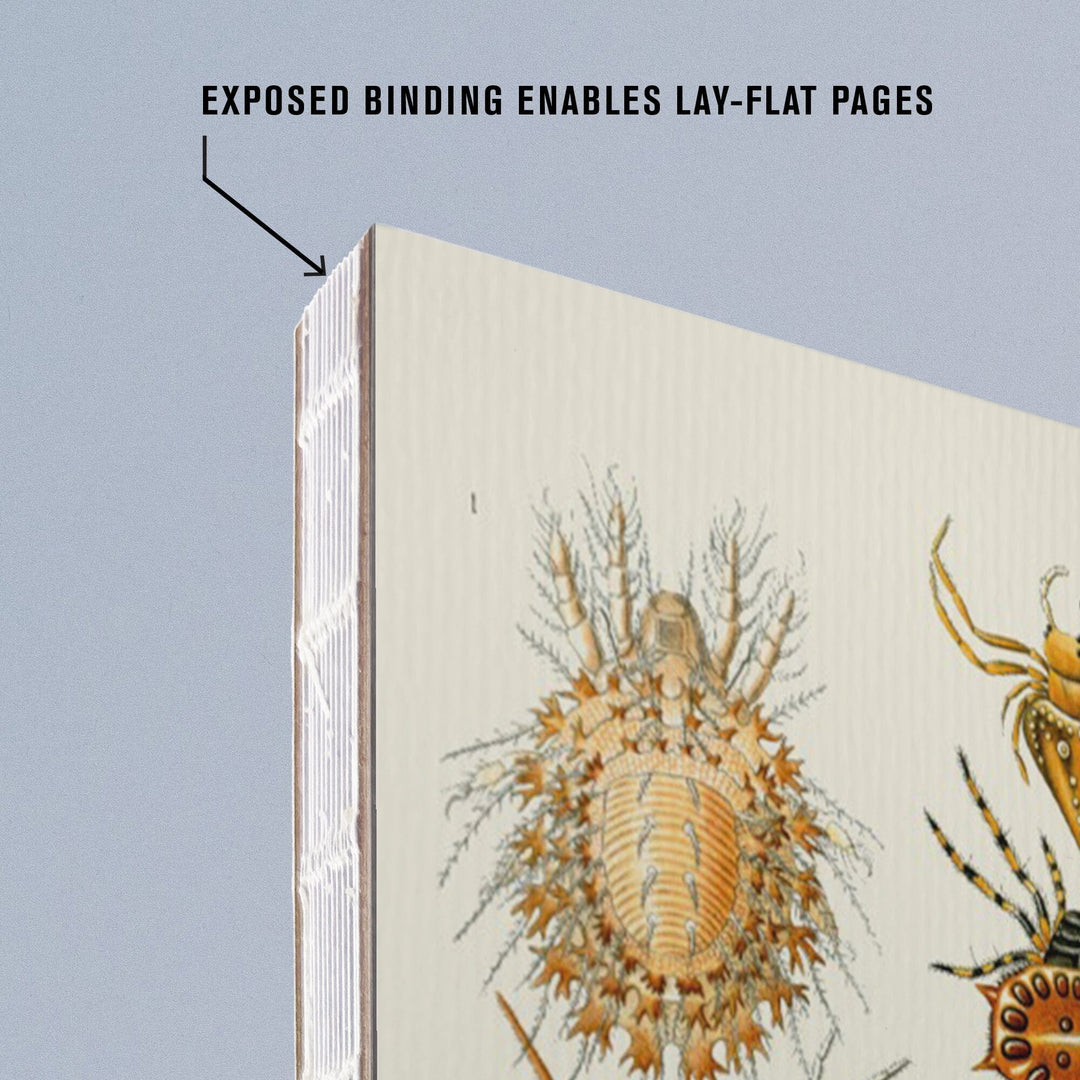 Lined 6x9 Journal, Art Forms of Nature, Arachnida (Spiders), Ernst Haeckel Artwork, Lay Flat, 193 Pages, FSC paper Home Lantern Press