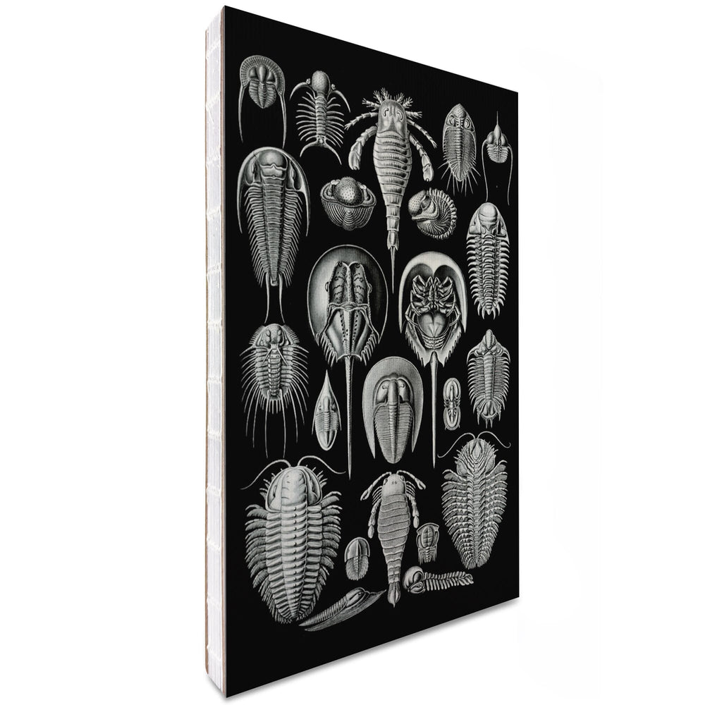 Lined 6x9 Journal, Art Forms of Nature, Aspidonia (Horseshoe Crabs), Ernst Haeckel Artwork, Lay Flat, 193 Pages, FSC paper Home Lantern Press