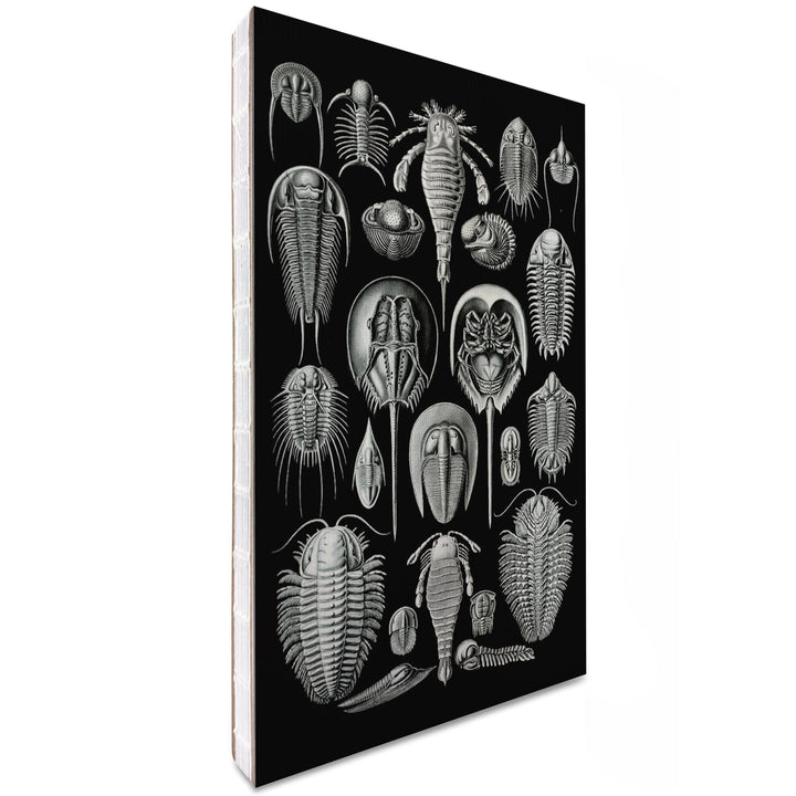 Lined 6x9 Journal, Art Forms of Nature, Aspidonia (Horseshoe Crabs), Ernst Haeckel Artwork, Lay Flat, 193 Pages, FSC paper Home Lantern Press