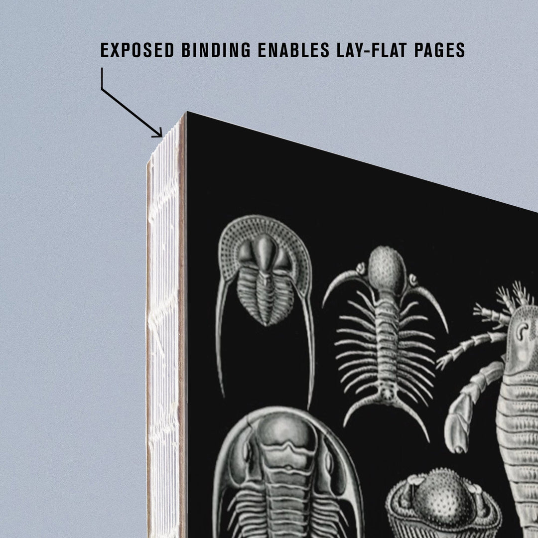 Lined 6x9 Journal, Art Forms of Nature, Aspidonia (Horseshoe Crabs), Ernst Haeckel Artwork, Lay Flat, 193 Pages, FSC paper Home Lantern Press