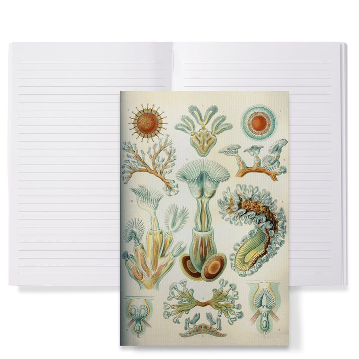 Lined 6x9 Journal, Art Forms of Nature, Bryozoa (light), Ernst Haeckel Artwork, Lay Flat, 193 Pages, FSC paper Home Lantern Press