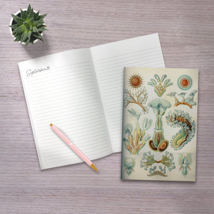 Lined 6x9 Journal, Art Forms of Nature, Bryozoa (light), Ernst Haeckel Artwork, Lay Flat, 193 Pages, FSC paper Home Lantern Press