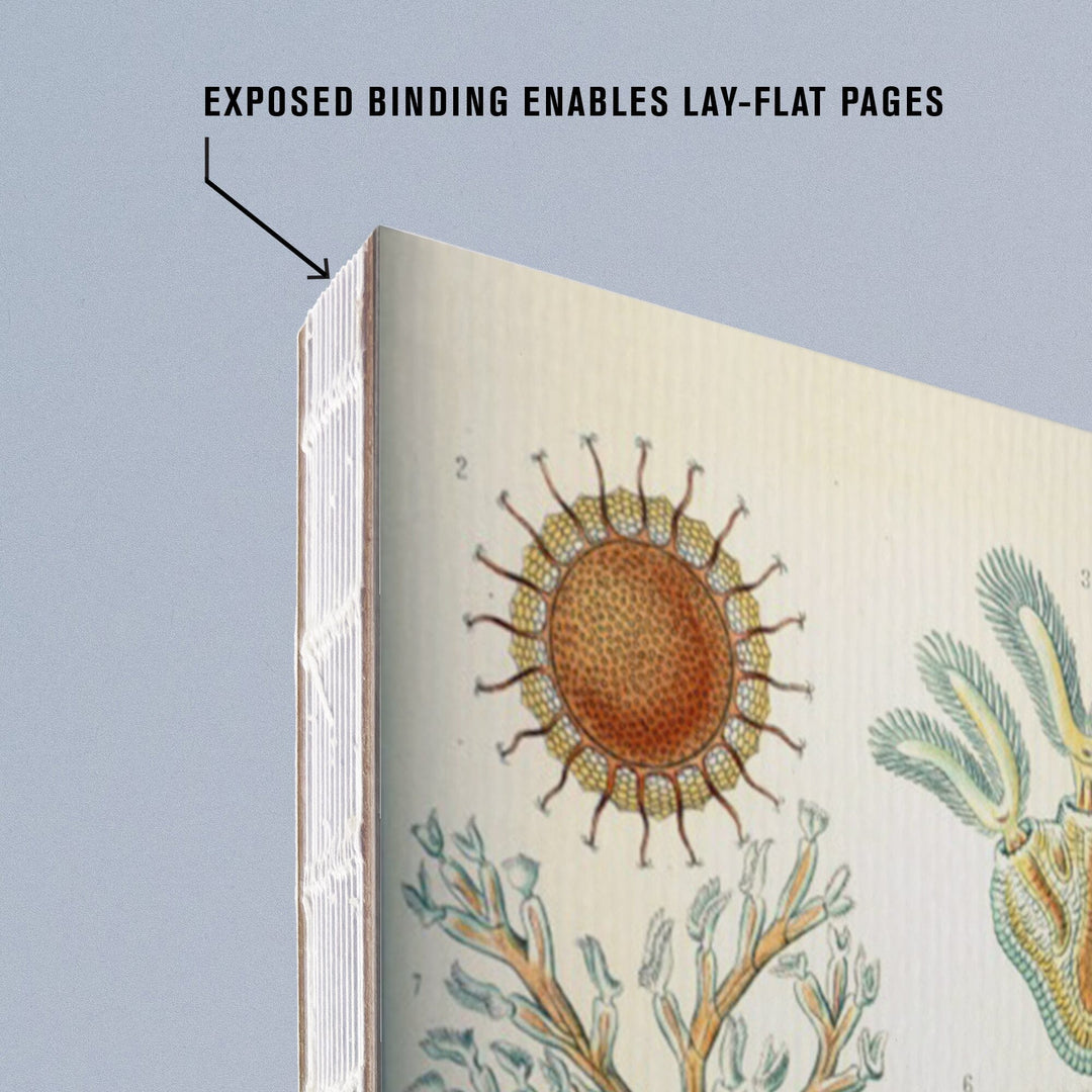 Lined 6x9 Journal, Art Forms of Nature, Bryozoa (light), Ernst Haeckel Artwork, Lay Flat, 193 Pages, FSC paper Home Lantern Press