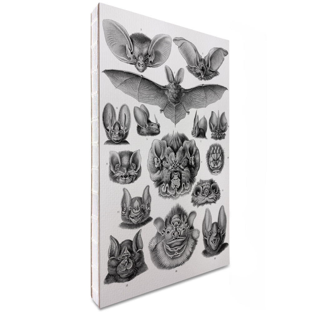 Lined 6x9 Journal, Art Forms of Nature, Chiroptera (Bats), Ernst Haeckel Artwork, Lay Flat, 193 Pages, FSC paper Home Lantern Press